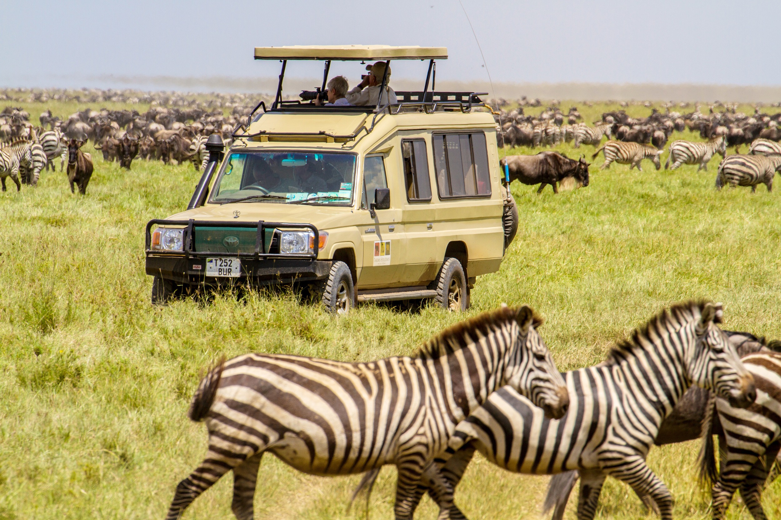 Mega Migration - Photo Safari & Workshop 2013-02; Serengeti National Par