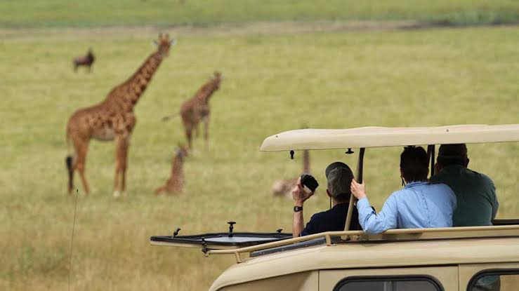 Game-Drives-in-Akagera-National-Park-3