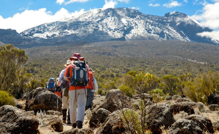 kilimanjaro-lemosho